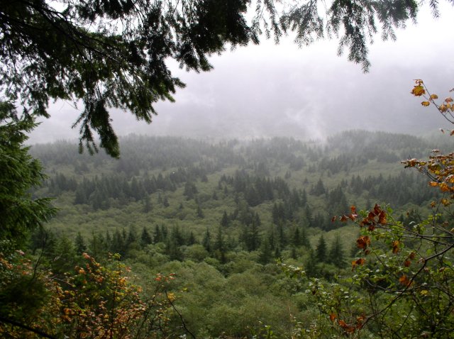 Saddle Mountain Oct 9 2005 009 